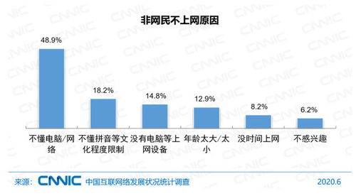 中國互聯網絡發展狀況統計報告（2020年第46次） 網民規模、結構狀況與計算機軟件數據處理服務分析